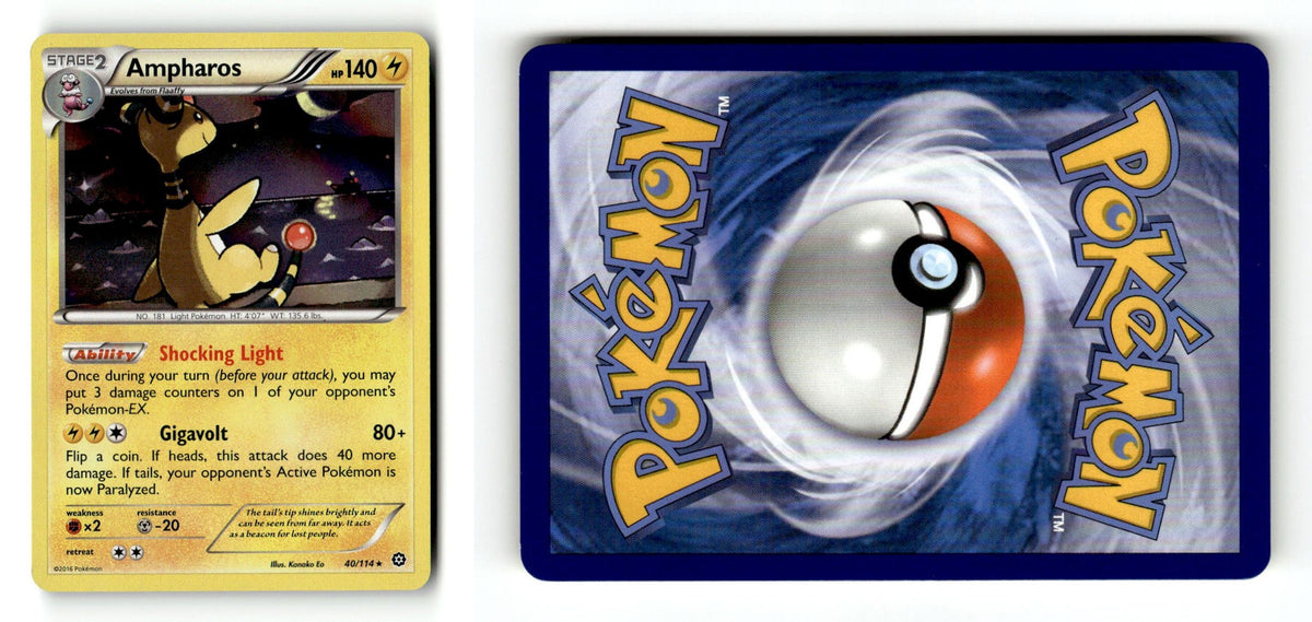 Front + Back scan