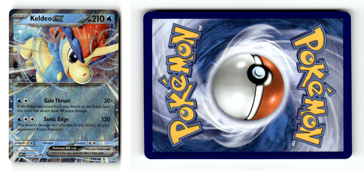 Front + Back scan