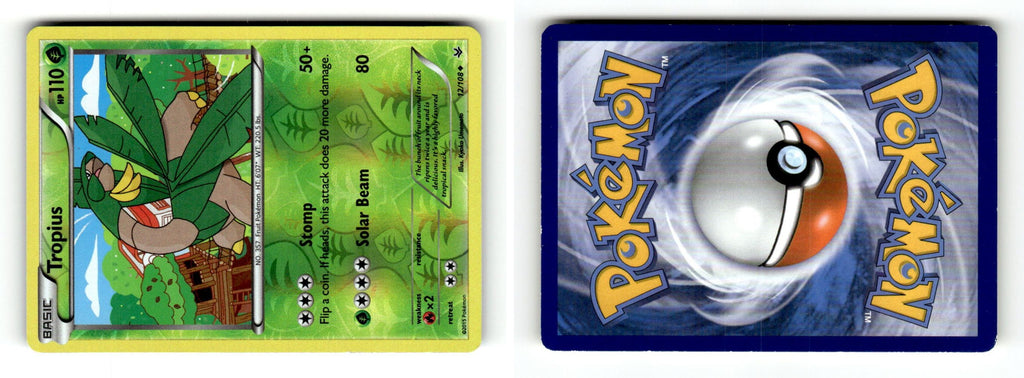 Front + Back scan