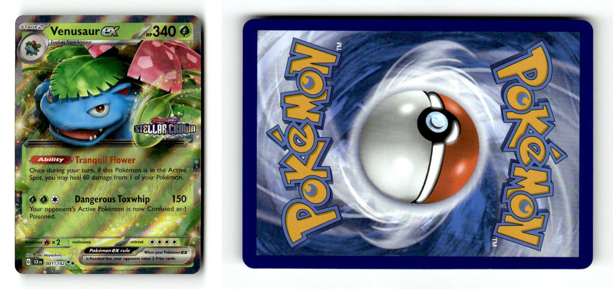 Front + Back scan