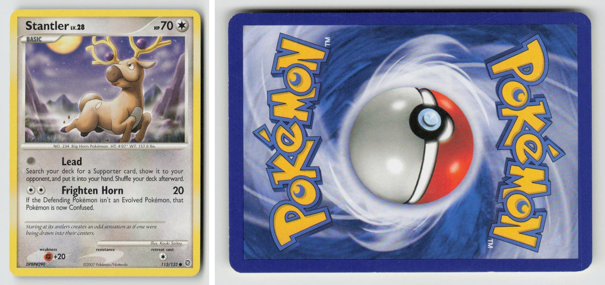 Front + Back scan