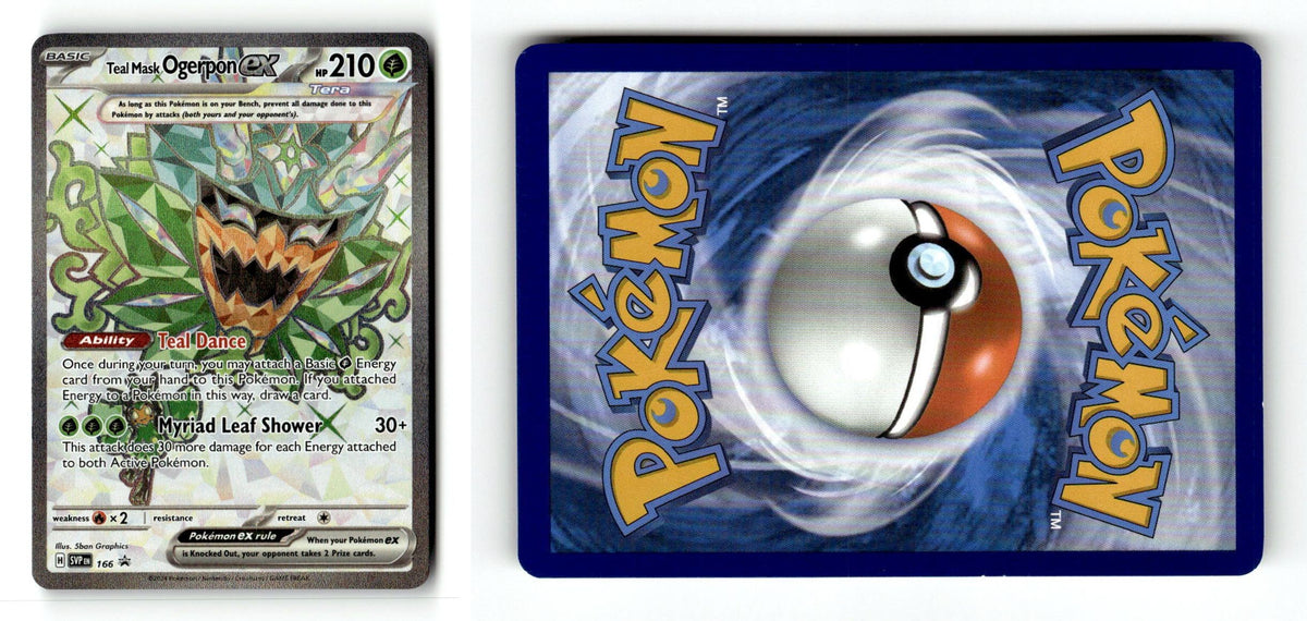 Front + Back scan