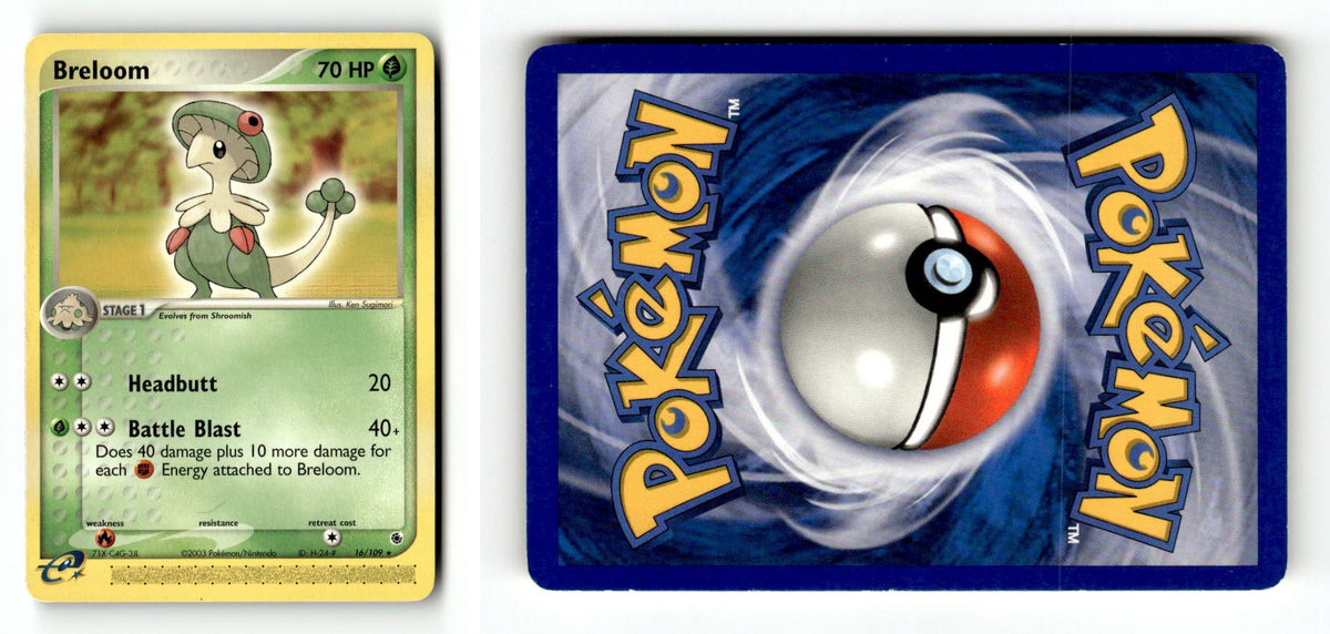 Front + Back scan