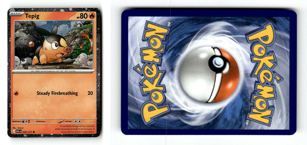 Front + Back scan