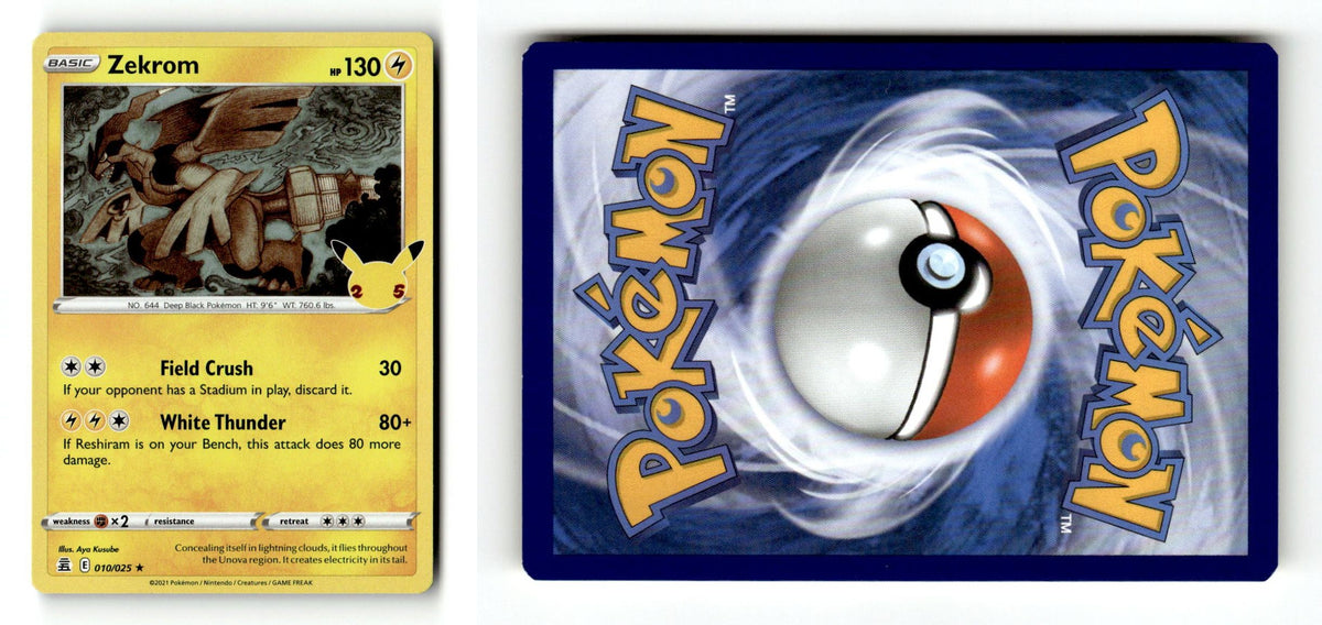 Front + Back scan