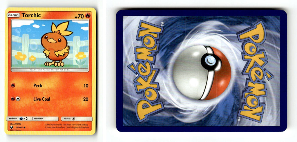 Front + Back scan