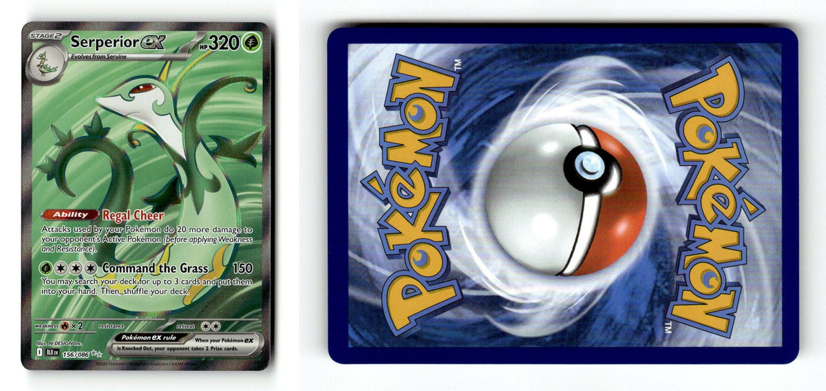 Front + Back scan