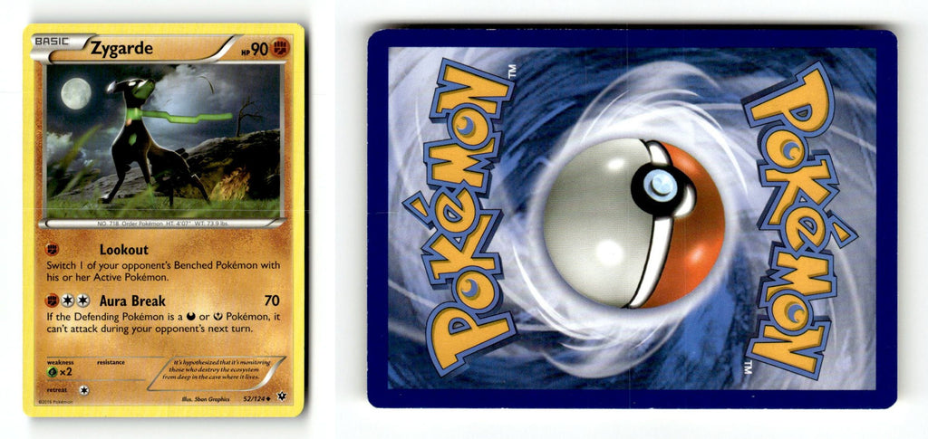 Front + Back scan