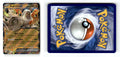 Front + Back scan