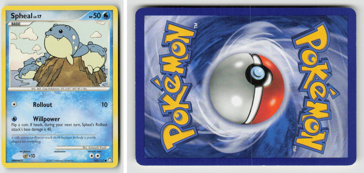 Front + Back scan