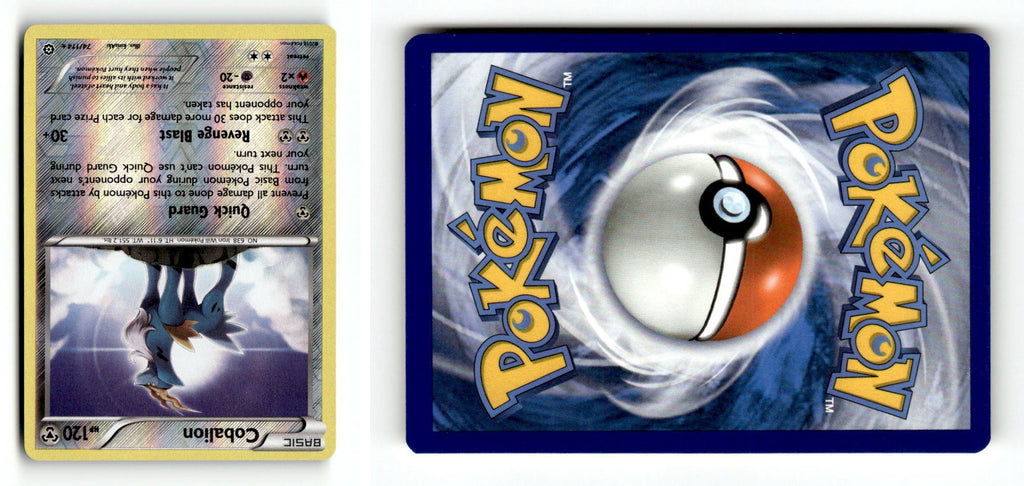Front + Back scan