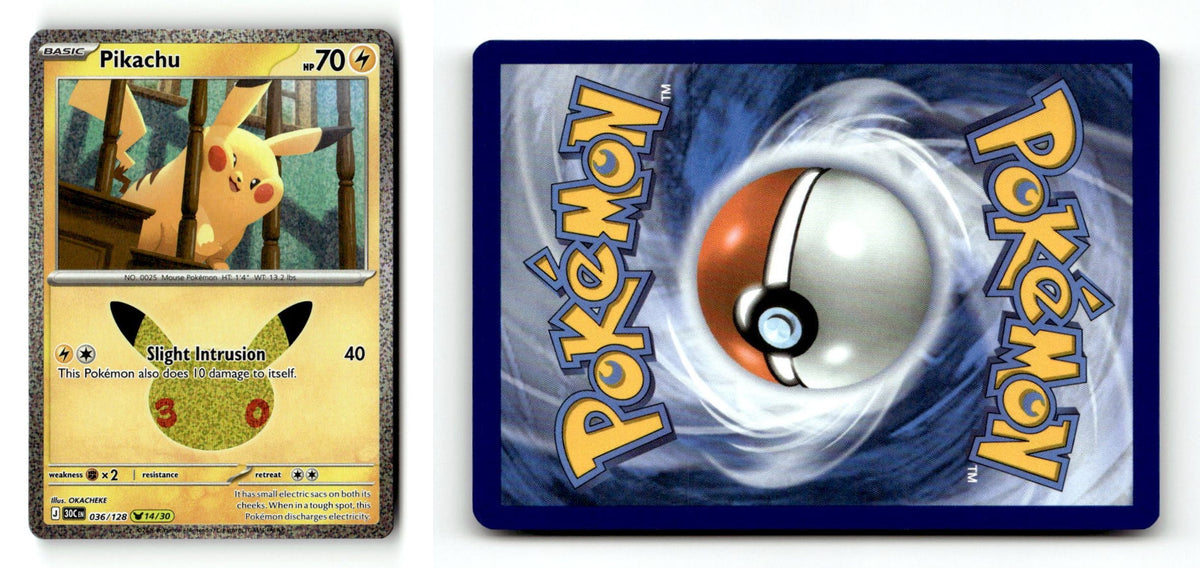 Front + Back scan