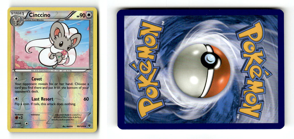Front + Back scan
