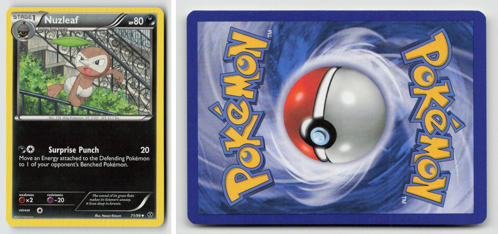Front + Back scan