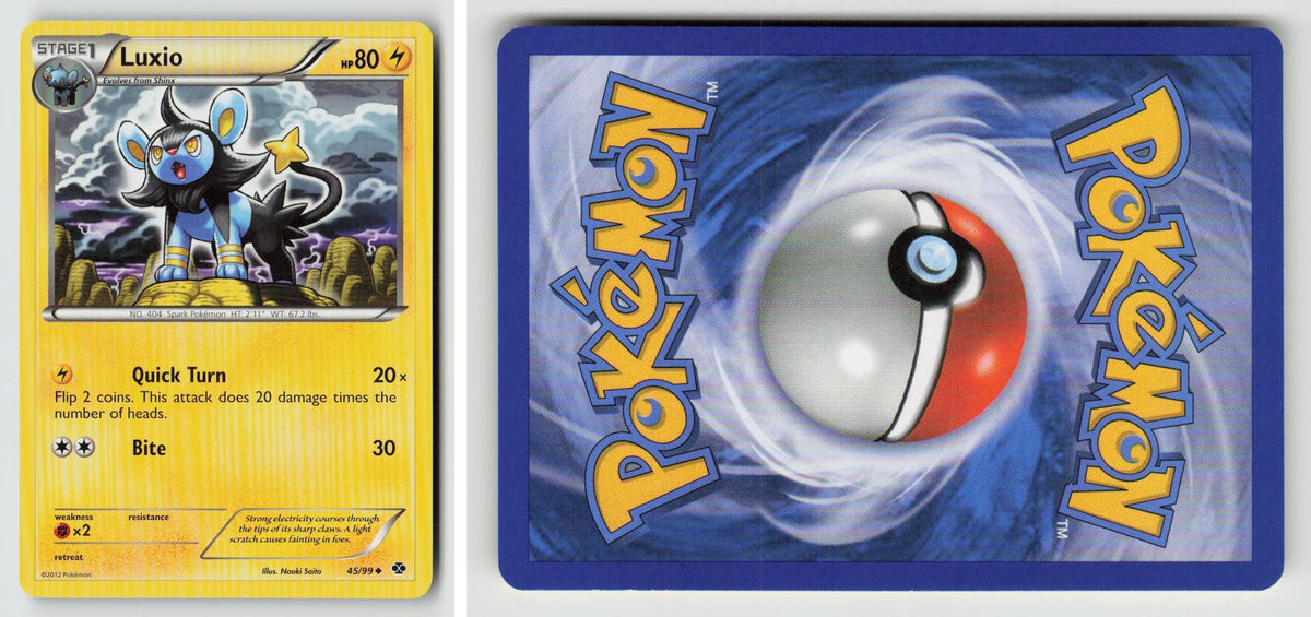 Front + Back scan