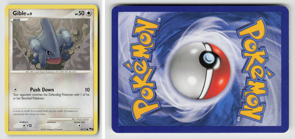 Front + Back scan