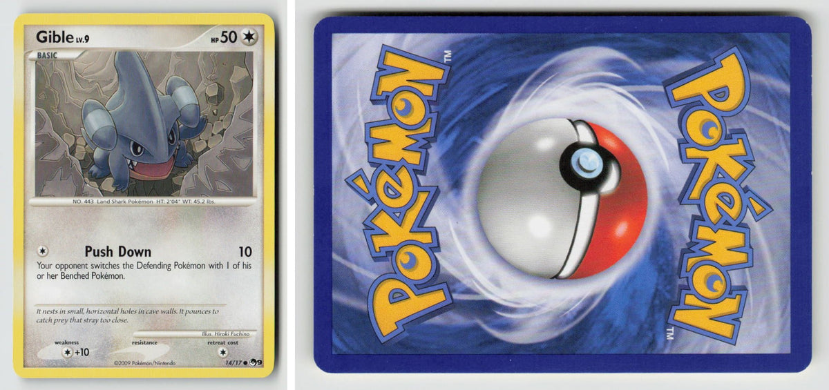 Front + Back scan