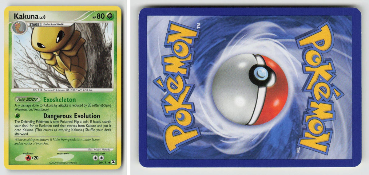 Front + Back scan