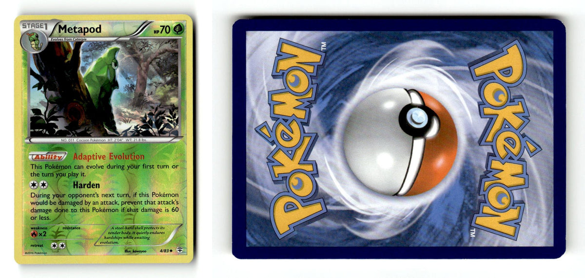 Front + Back scan