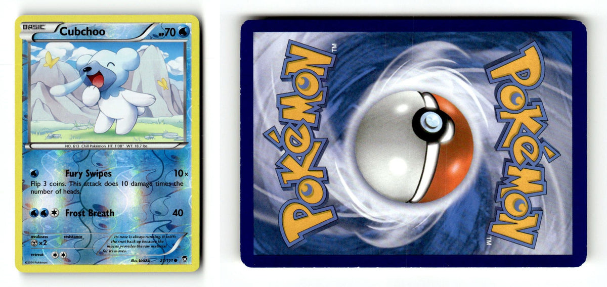Front + Back scan