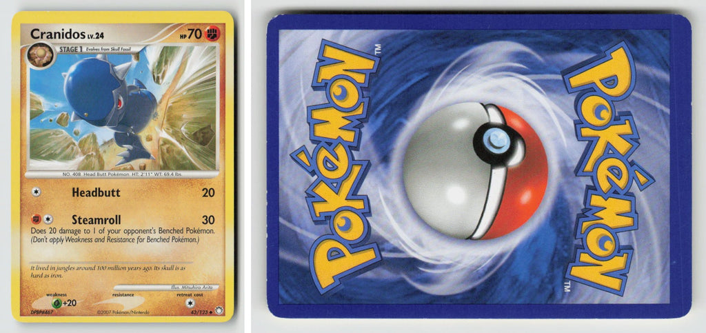 Front + Back scan