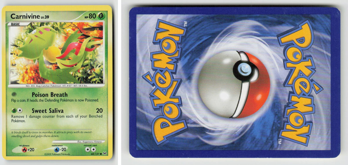 Front + Back scan