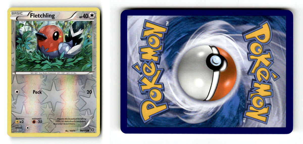Front + Back scan