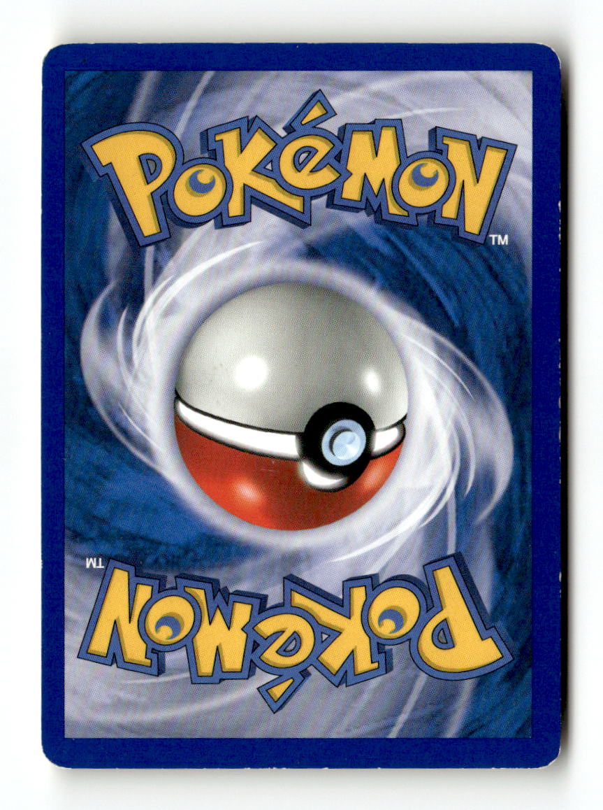 Seel (Back)