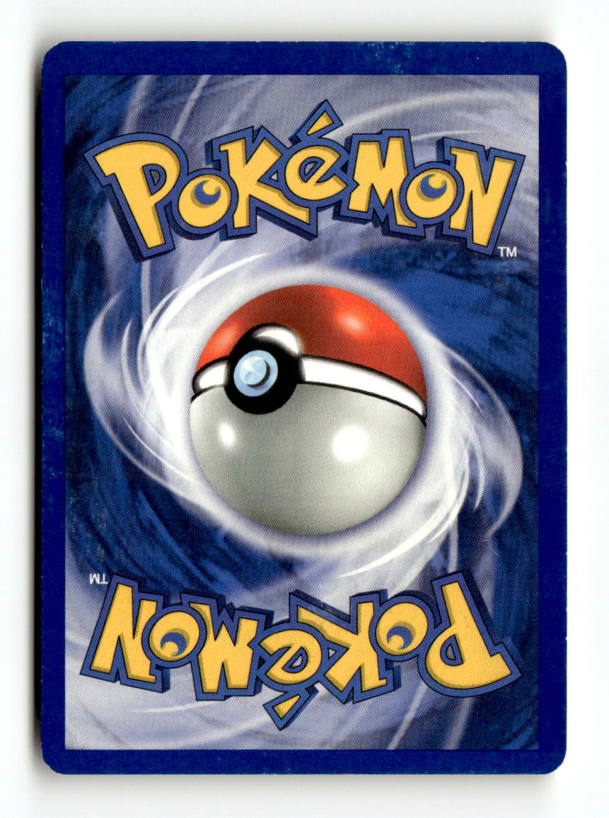 Pewter City Gym (Back)