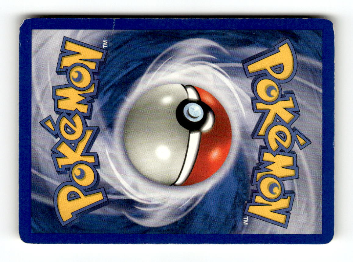 Swinub (Back)