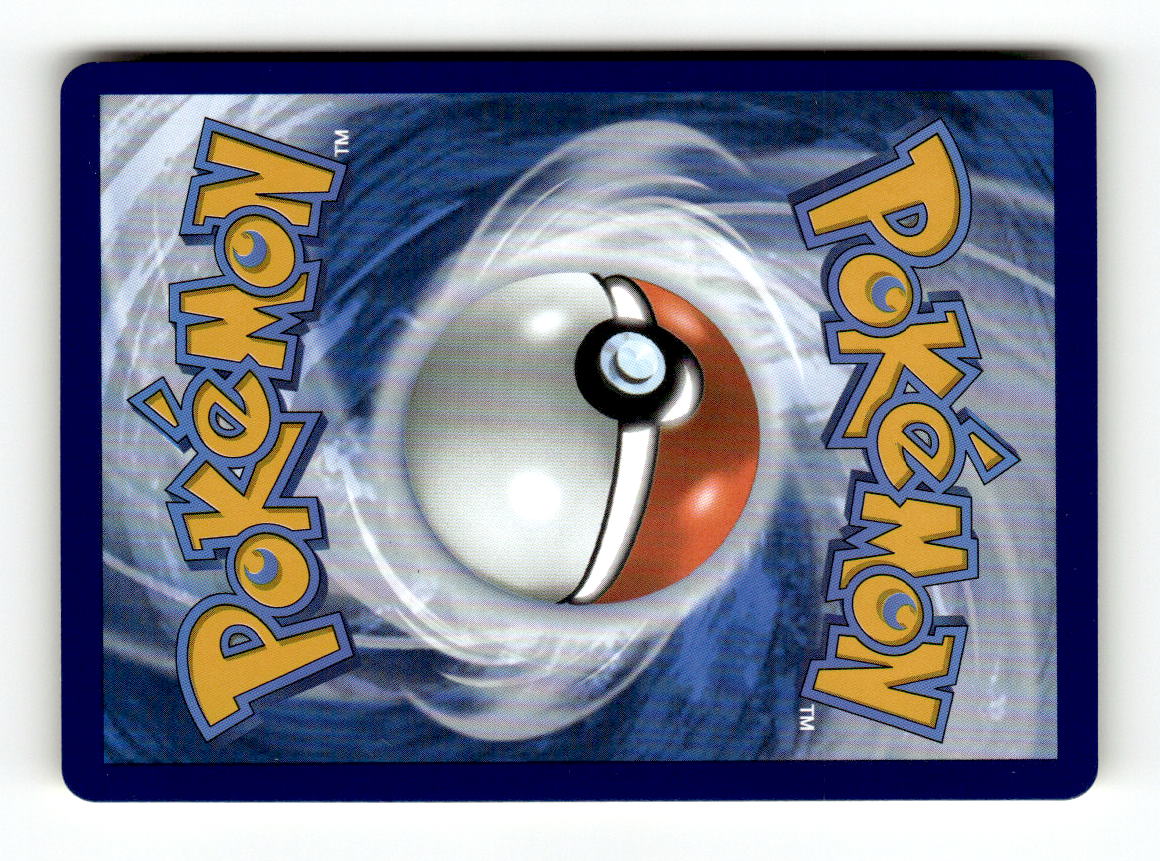 Wartortle (Back)