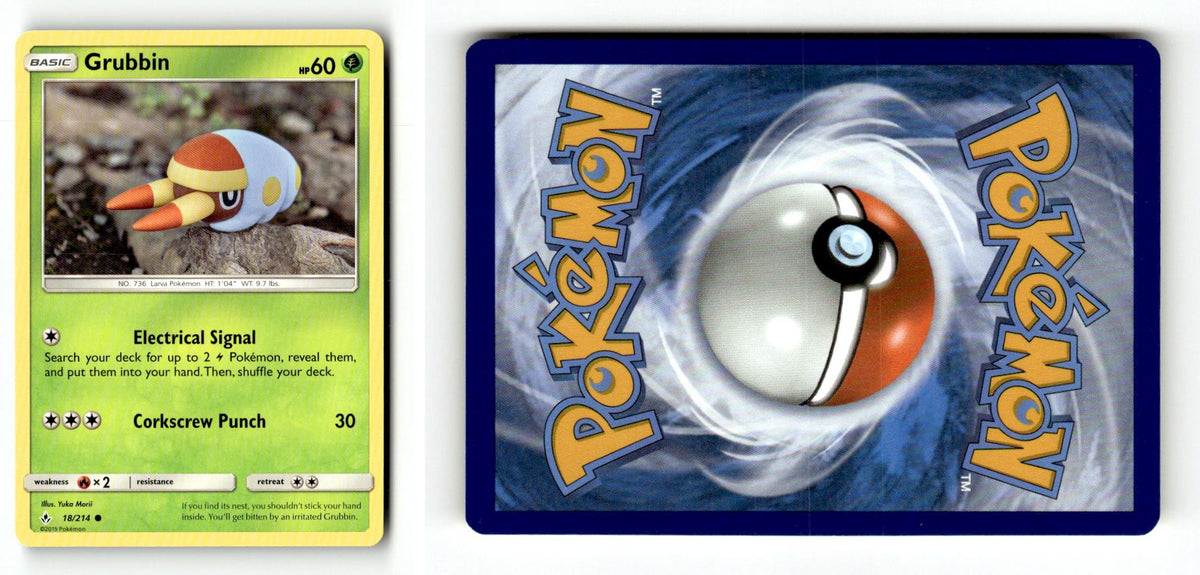 Front + Back scan