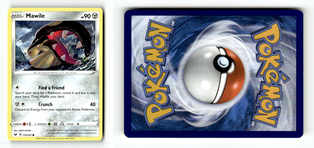 Front + Back scan