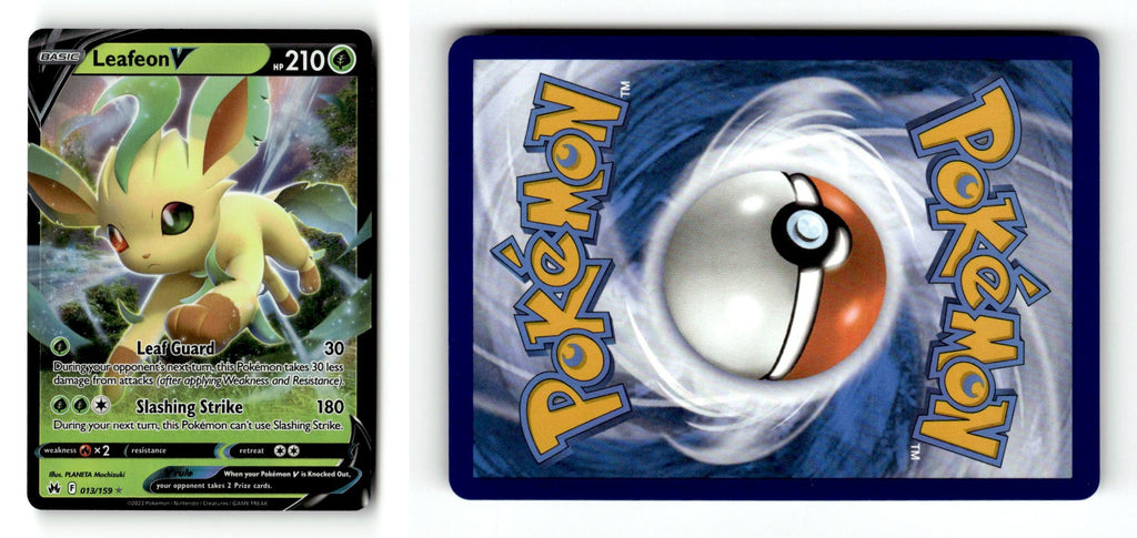 Front + Back scan