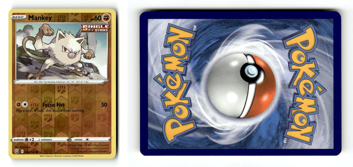 Front + Back scan