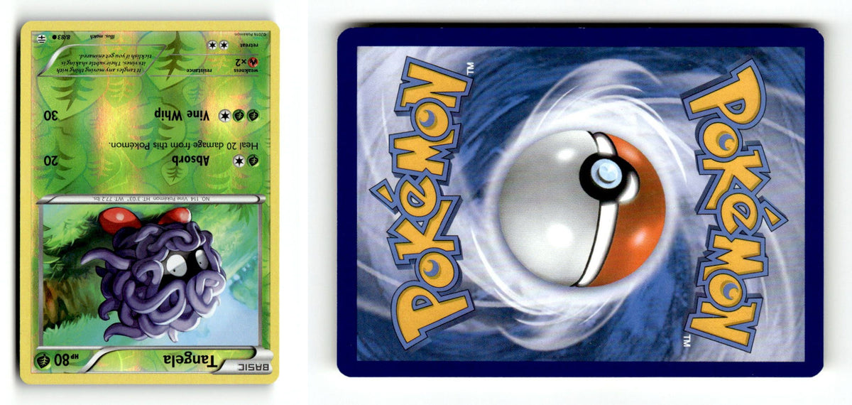 Front + Back scan