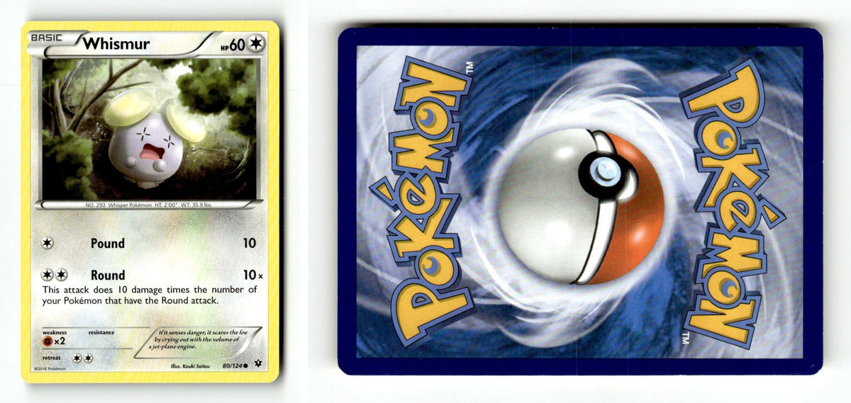 Front + Back scan