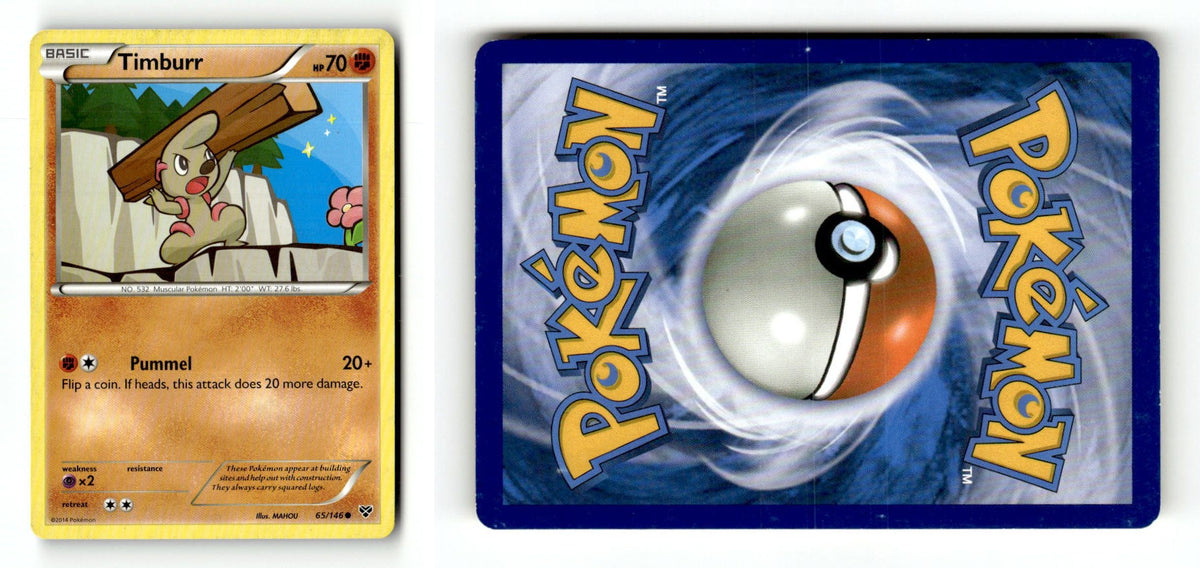 Front + Back scan