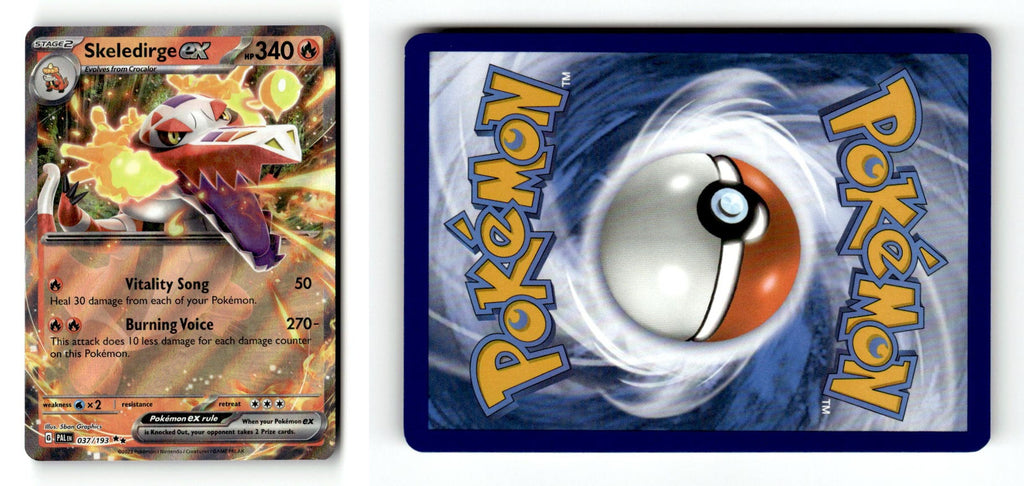Front + Back scan