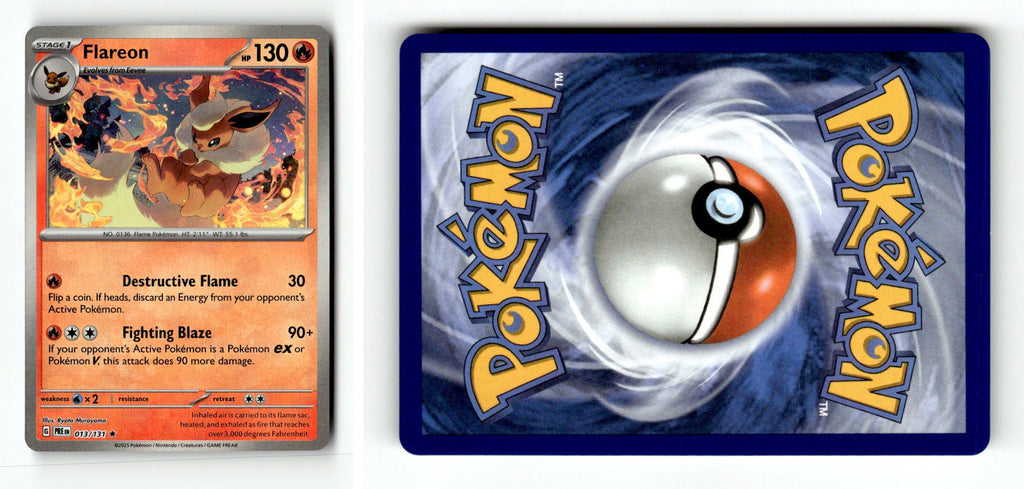 Front + Back scan