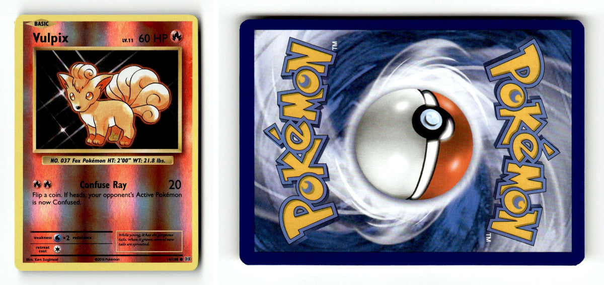 Front + Back scan