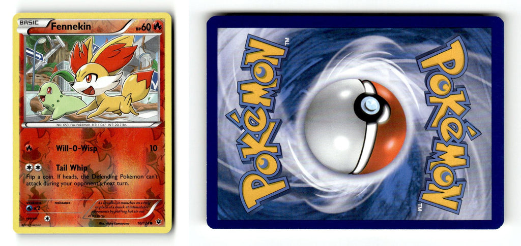 Front + Back scan