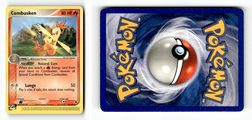 Front + Back scan