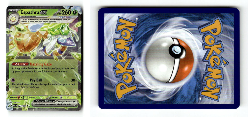 Front + Back scan