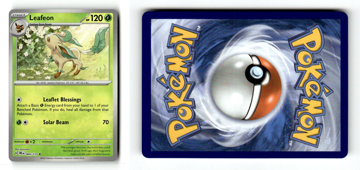 Front + Back scan