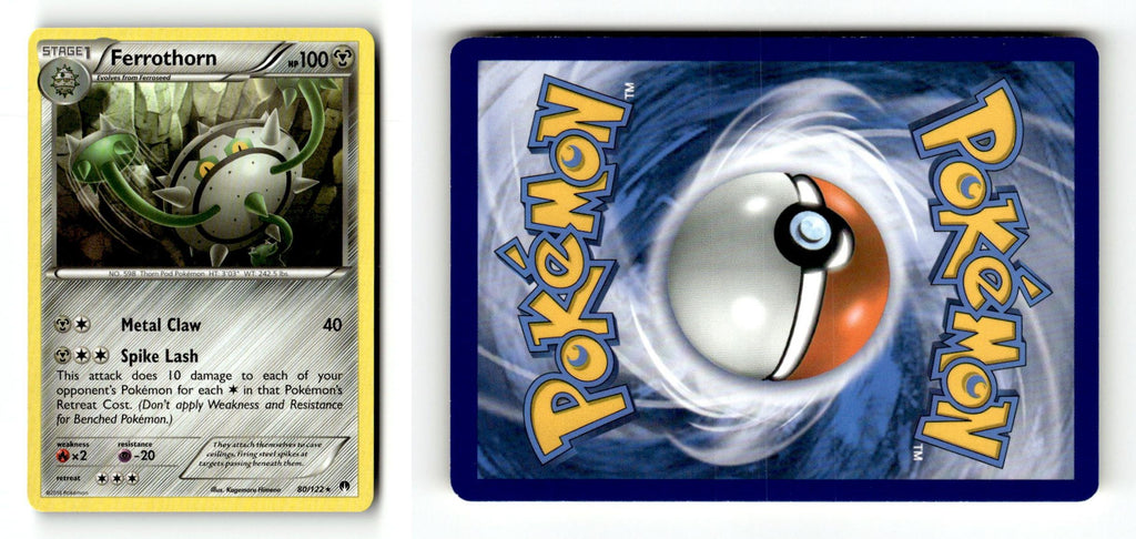 Front + Back scan