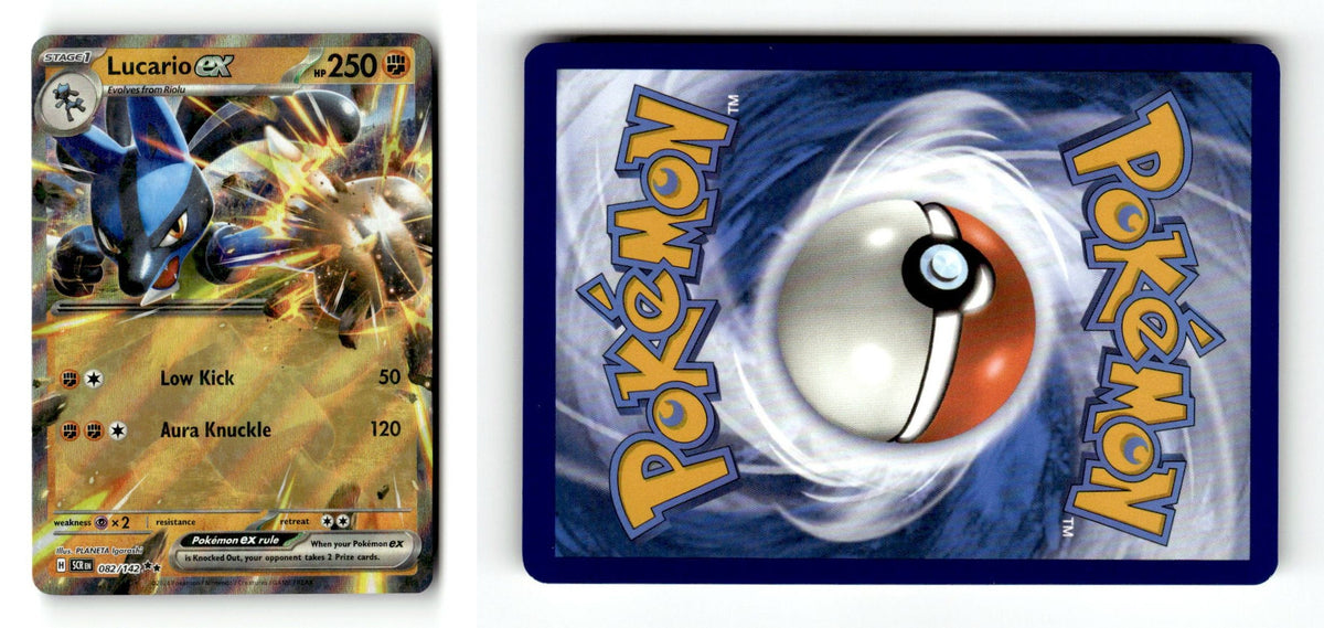 Front + Back scan