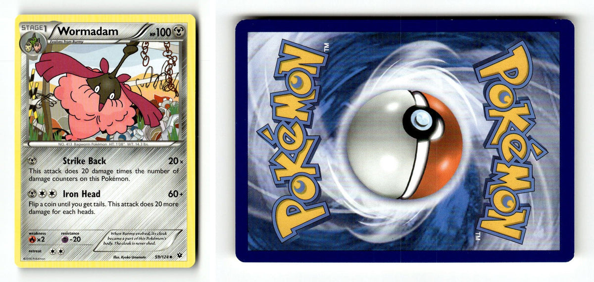 Front + Back scan