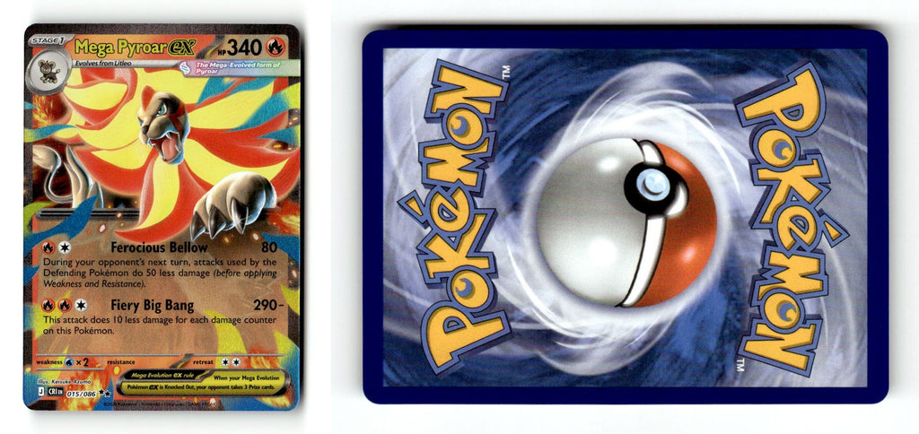 Front + Back scan