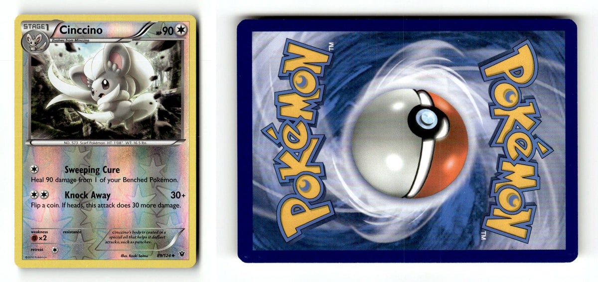 Front + Back scan